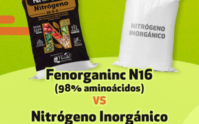 N16 VS nitrógeno convencional: duplica la eficiencia con Fenorganic