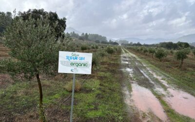 Finca Ecológica Bonilla, un ejemplo de sostenibilidad con Fenorganic