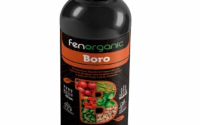 Boro: El aliado indispensable para maximizar la asimilación de materia orgánica