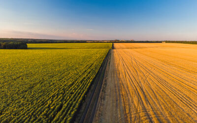 ¿Qué es la tecnología Fenorganic y por qué está revolucionando la agricultura?
