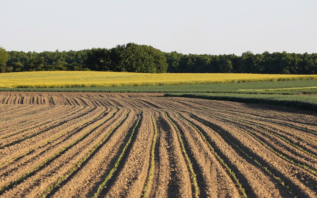 Fray Mendel revoluciona la nutrición vegetal con la Tecnología I.C.E.