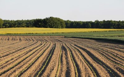 Fray Mendel revoluciona la nutrición vegetal con la Tecnología I.C.E.
