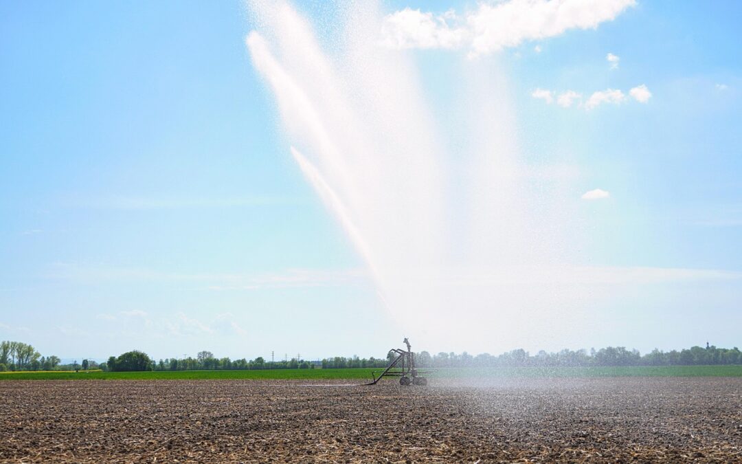 Tres ideas para ahorrar agua en la agricultura