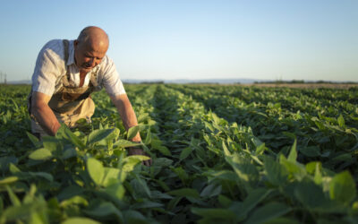 Agricultura ecológica: el futuro pasa por la biotecnología
