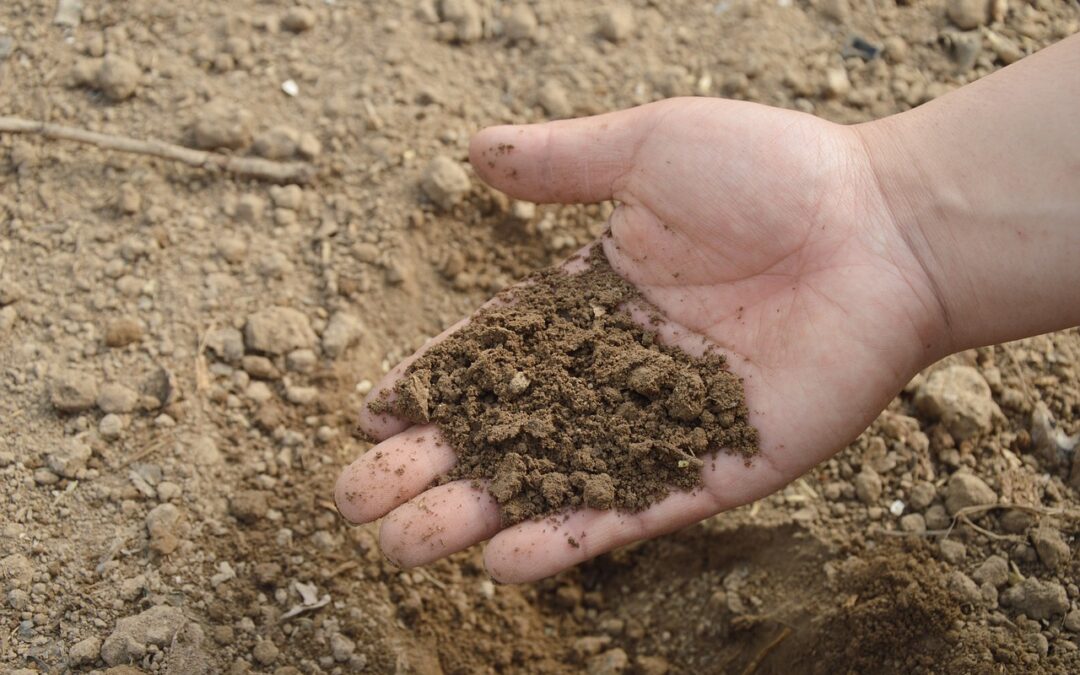 Errores comunes en la aplicación de fertilizantes